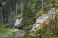 Autumn river creek stream in woods. Forest trees landscape woodland fall