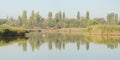 Autumn river landscape with a swan Royalty Free Stock Photo