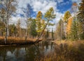 Autumn River Olha in eastern Siberia