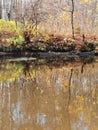 Autumn river Royalty Free Stock Photo