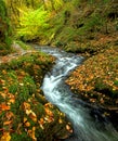 Autumn river running flow