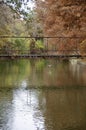 Autumn River scene with bird and bridge Royalty Free Stock Photo