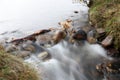 Autumn River in the Scottish Highlands Royalty Free Stock Photo