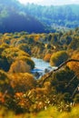 Autumn, river and valley or landscape in countryside with trees, forest and environment in New Zealand. Agriculture Royalty Free Stock Photo