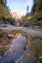 Autumn River in Valley Oetschergraben Austria, Lower Austria, Oetscher Mariazell, Oetscher valley Royalty Free Stock Photo