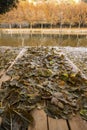 Autumn river view from bench full of leaves foliage. Frost ice morning in outdoor. Nature and winter brown color. Concept of Royalty Free Stock Photo