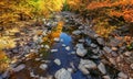 Autumn river with yellow leafs