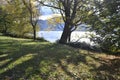 Autumn riverbank landscape with big trees and long shadows.