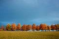 Autumn road