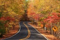 Autumn road Royalty Free Stock Photo