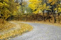 Autumn road Royalty Free Stock Photo