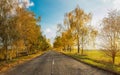 Autumn road along winter wheat fields Royalty Free Stock Photo