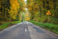 AUTUMN ROAD Royalty Free Stock Photo