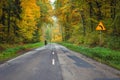 AUTUMN ROAD