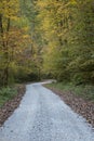 Autumn Road Royalty Free Stock Photo