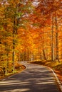 Autumn road - enhanced colors