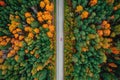 Autumn road in forest, concept of trip by red car aerial top view Royalty Free Stock Photo