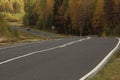 Autumn road among forest Royalty Free Stock Photo