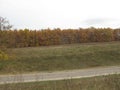 Autumn road, forest and meadow Royalty Free Stock Photo