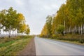 Autumn road, going away, among the yellow trees. Royalty Free Stock Photo