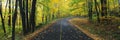 Autumn road in Greylock State Reservation, MA Royalty Free Stock Photo
