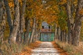 Autumn road leading to house