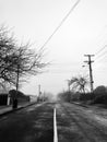 Autumn road with leafless trees beside. Royalty Free Stock Photo