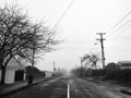 Autumn road with leafless trees beside. Autumn road concept. Royalty Free Stock Photo