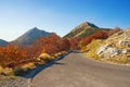 Autumn road in the mountains. Montenegro, Lovcen National Park