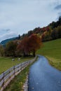 Autumn road with no people, isolation and one with nature