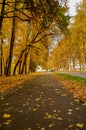 Autumn road Royalty Free Stock Photo