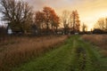 Autumn road among old village houses. Ukraine. Royalty Free Stock Photo