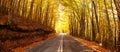 Autumn road panorama Royalty Free Stock Photo