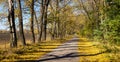 Autumn road, panorama Royalty Free Stock Photo