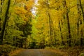 Autumn road, potawanomi state park