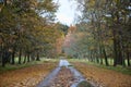 Autumn road, Scotland, UK