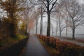 Autumn road and sidewalk in fog after rain. Beautiful landscape