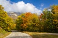 Autumn Road on a Sunny Day