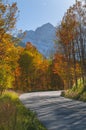 Autumn Road to the Maroon Bells Royalty Free Stock Photo