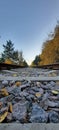 autumn road to the sky