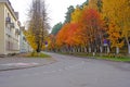 Autumn road