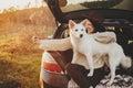 Autumn road trip with pet and travel. Stylish hipster woman taking selfie photo with cute dog in car trunk in sunset light in