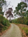 Autumn road in Wild mountain Royalty Free Stock Photo