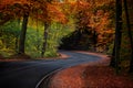 Autumn Road