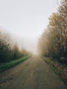 Autumn road in woods with fall leaves in foggy cold morning. Mist in autumn forest. Tranquil moment. Hello fall. Atmospheric