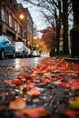 autumn road with yellow leaves and car, city street in the evening, beautiful autumn nature