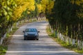 Autumn road