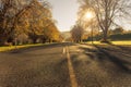 Autumn roads New Zealand