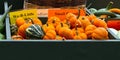 Autumn roadside farmstand Royalty Free Stock Photo