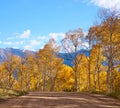 autumn in the rocky mountains of Colorado. Kebler Pass near Crested Butte, Colorado Royalty Free Stock Photo